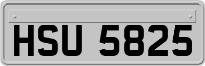 HSU5825