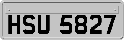 HSU5827