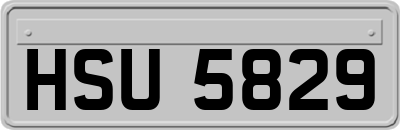 HSU5829