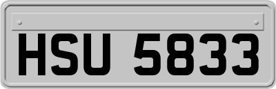 HSU5833