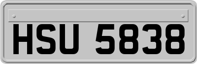HSU5838