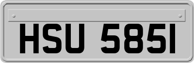 HSU5851