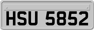 HSU5852