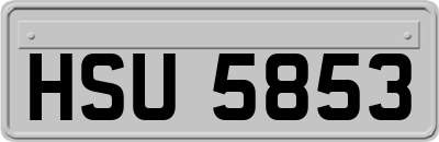 HSU5853