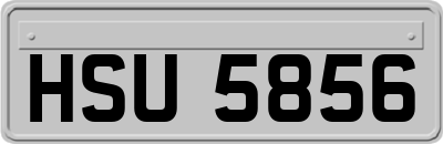 HSU5856