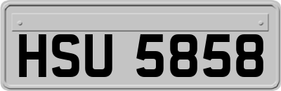 HSU5858