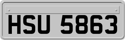 HSU5863