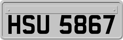 HSU5867