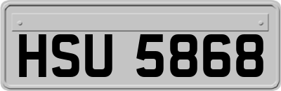 HSU5868