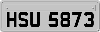 HSU5873