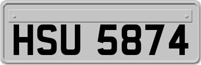 HSU5874