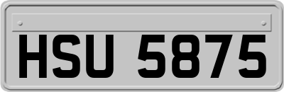 HSU5875