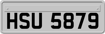 HSU5879