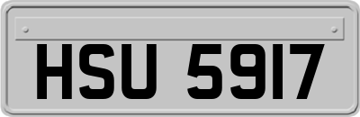 HSU5917