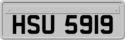 HSU5919