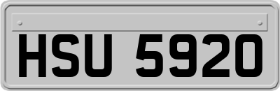 HSU5920