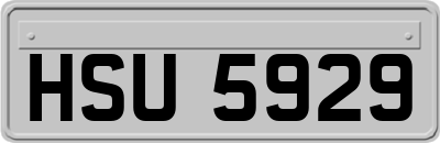 HSU5929