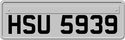 HSU5939