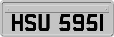 HSU5951