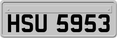 HSU5953