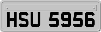 HSU5956