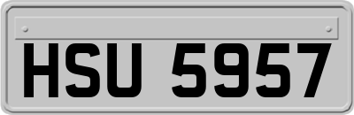 HSU5957