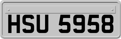 HSU5958