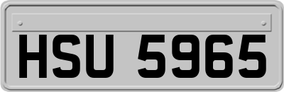HSU5965