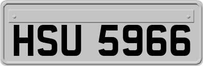 HSU5966