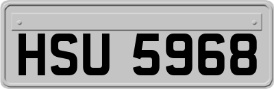 HSU5968