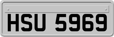 HSU5969
