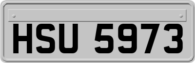 HSU5973