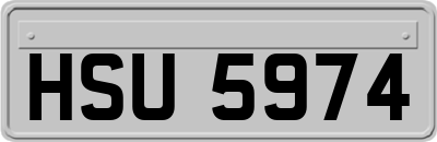 HSU5974