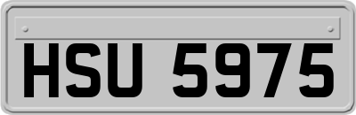 HSU5975