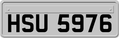 HSU5976