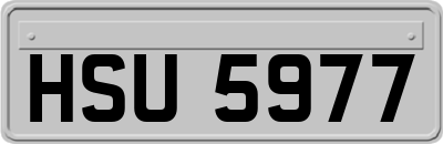 HSU5977