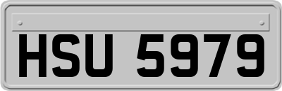 HSU5979