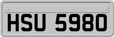 HSU5980