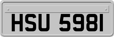 HSU5981