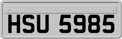 HSU5985