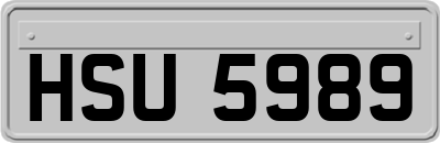 HSU5989