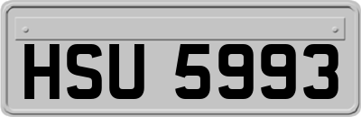 HSU5993