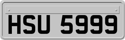 HSU5999