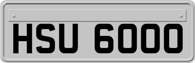HSU6000