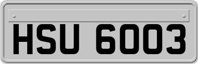 HSU6003