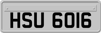 HSU6016