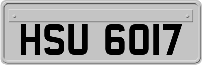 HSU6017