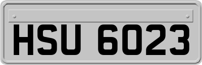 HSU6023