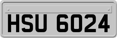 HSU6024