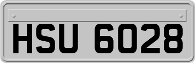 HSU6028